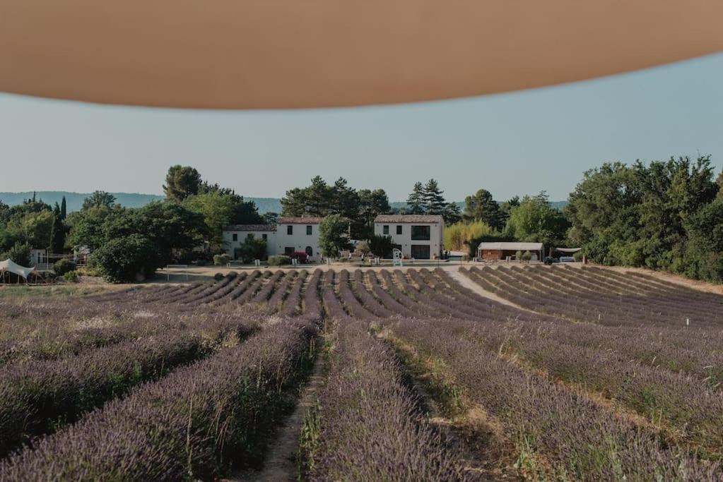Terre Ugo - Studio Campagne Aixoise #6 Aix-en-Provence Exterior foto