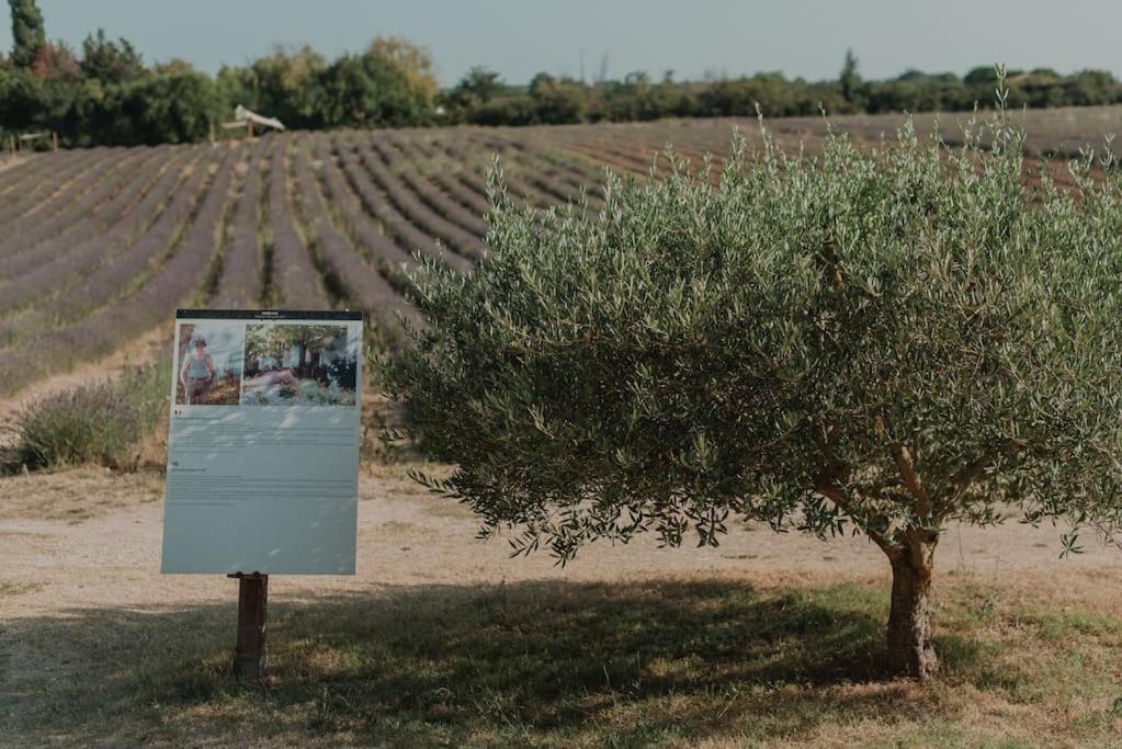 Terre Ugo - Studio Campagne Aixoise #6 Aix-en-Provence Exterior foto