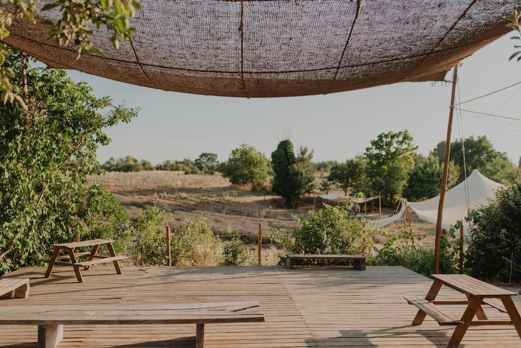 Terre Ugo - Studio Campagne Aixoise #6 Aix-en-Provence Exterior foto
